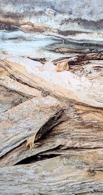 COLLAGEN MALEREI UND FOTOGRAFIE | Ingrid Brütsch 