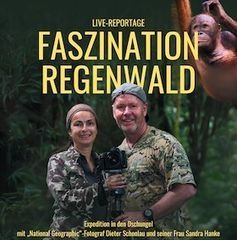 FASZINATION REGENWALD - Live-Reportage