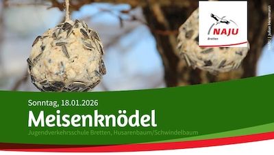 NAJU Bretten: Meisenknödel