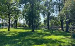 Yoga im Park Bretten